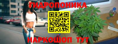 PSILOCYBIN Бугуруслан